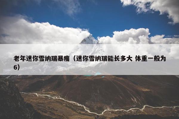 老年迷你雪纳瑞暴瘦（迷你雪纳瑞能长多大 体重一般为6）