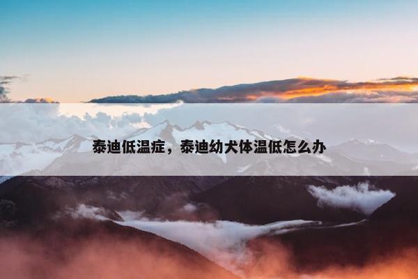 泰迪低温症，泰迪幼犬体温低怎么办