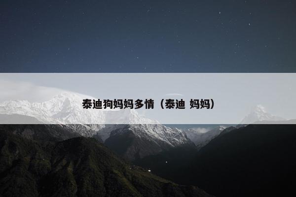 泰迪狗妈妈多情（泰迪 妈妈）