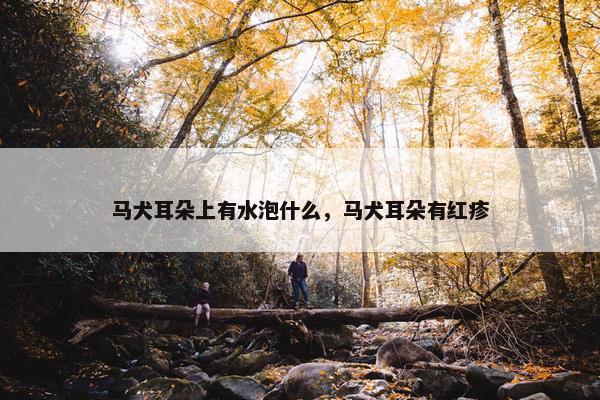 马犬耳朵上有水泡什么，马犬耳朵有红疹