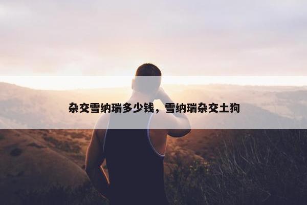 杂交雪纳瑞多少钱，雪纳瑞杂交土狗