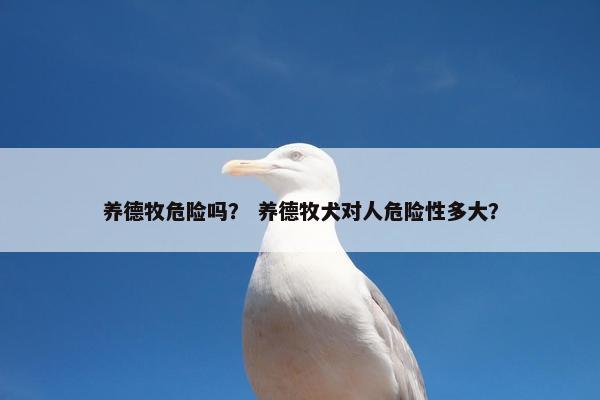 养德牧危险吗？ 养德牧犬对人危险性多大？