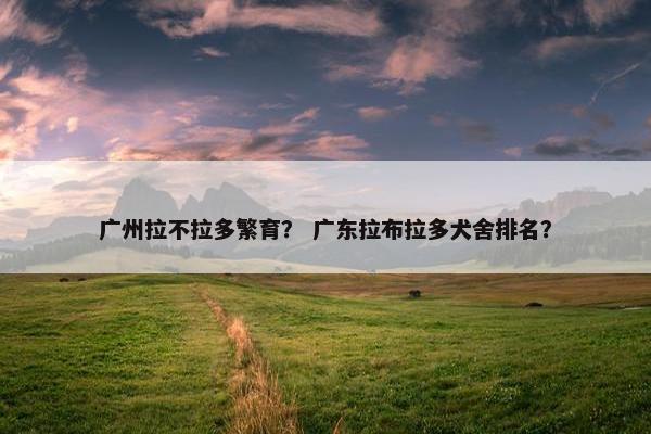 广州拉不拉多繁育？ 广东拉布拉多犬舍排名？