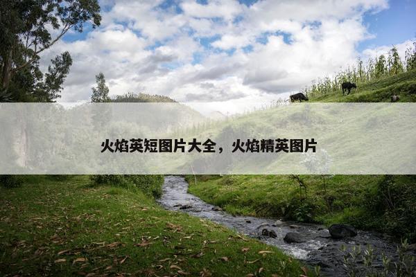 火焰英短图片大全，火焰精英图片