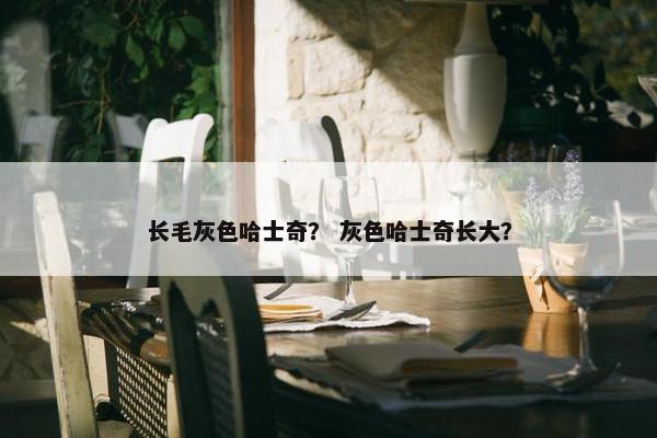 长毛灰色哈士奇？ 灰色哈士奇长大？