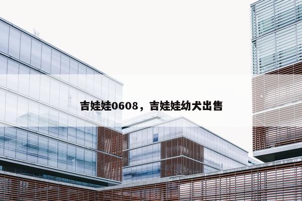 吉娃娃0608，吉娃娃幼犬出售