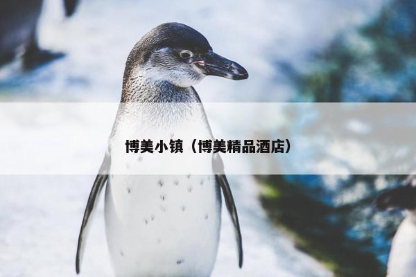 博美小镇（博美精品酒店）