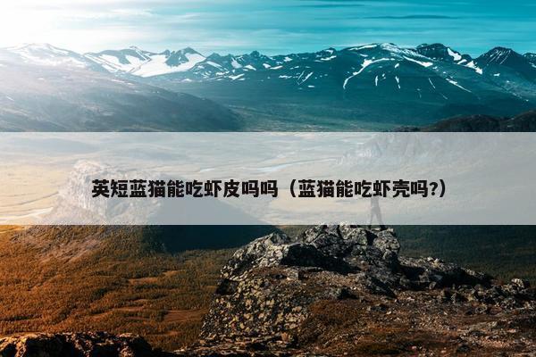 英短蓝猫能吃虾皮吗吗（蓝猫能吃虾壳吗?）