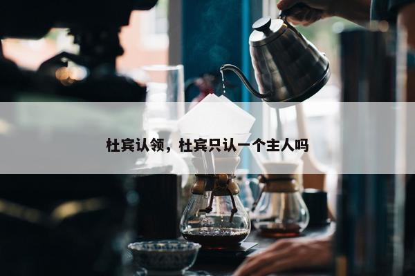 杜宾认领，杜宾只认一个主人吗