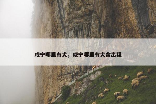 咸宁哪里有犬，咸宁哪里有犬舍出租