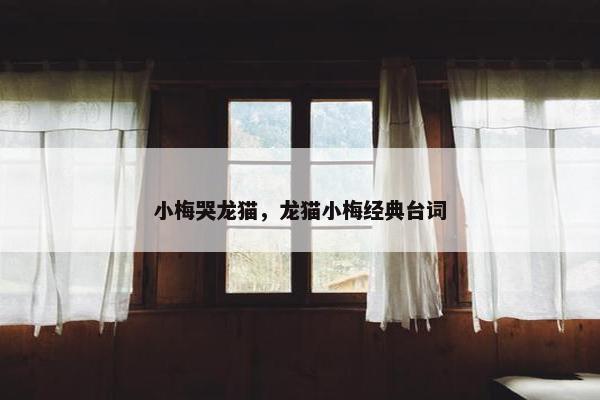 小梅哭龙猫，龙猫小梅经典台词