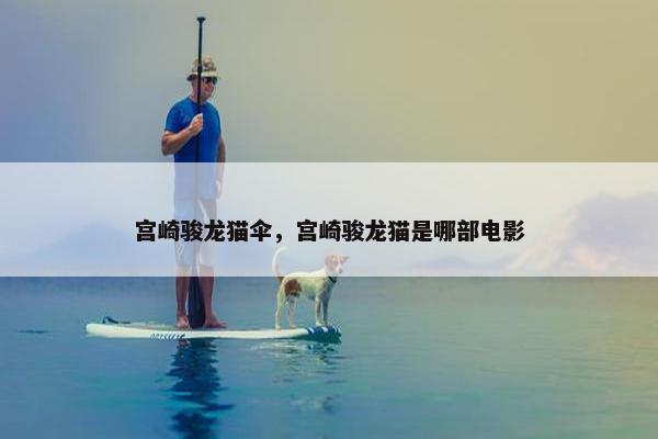 宫崎骏龙猫伞，宫崎骏龙猫是哪部电影