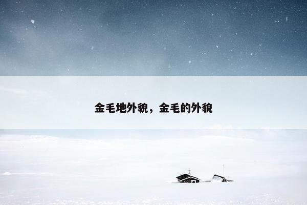 金毛地外貌，金毛的外貌