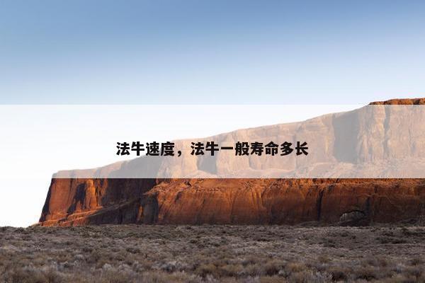 法牛速度，法牛一般寿命多长