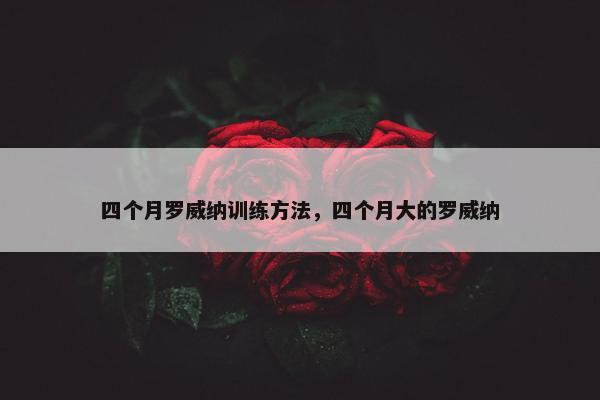 四个月罗威纳训练方法，四个月大的罗威纳