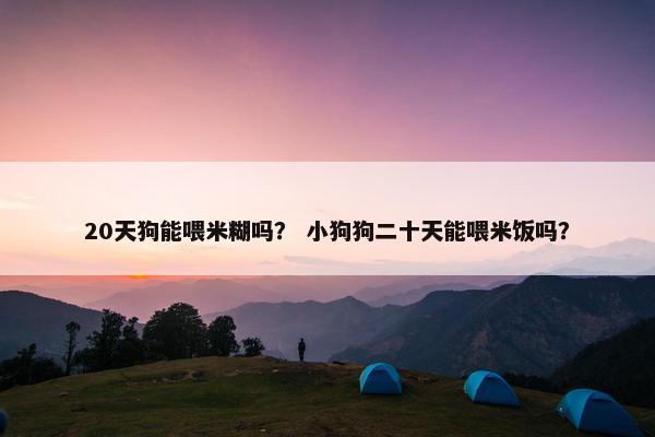 20天狗能喂米糊吗？ 小狗狗二十天能喂米饭吗？