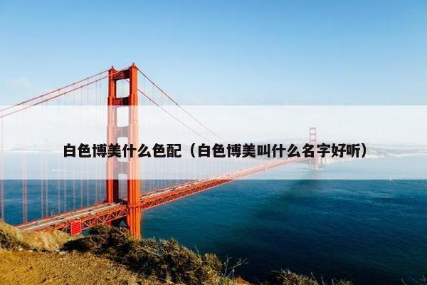 白色博美什么色配（白色博美叫什么名字好听）