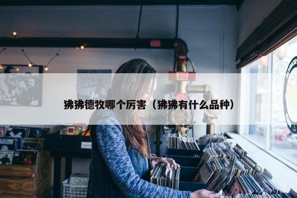 狒狒德牧哪个厉害（狒狒有什么品种）