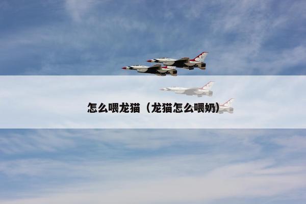 怎么喂龙猫（龙猫怎么喂奶）