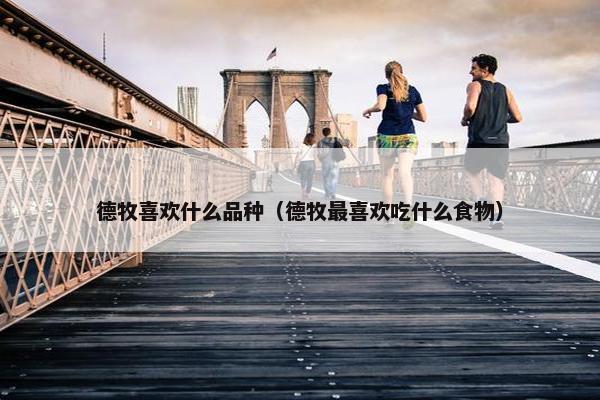 德牧喜欢什么品种（德牧最喜欢吃什么食物）