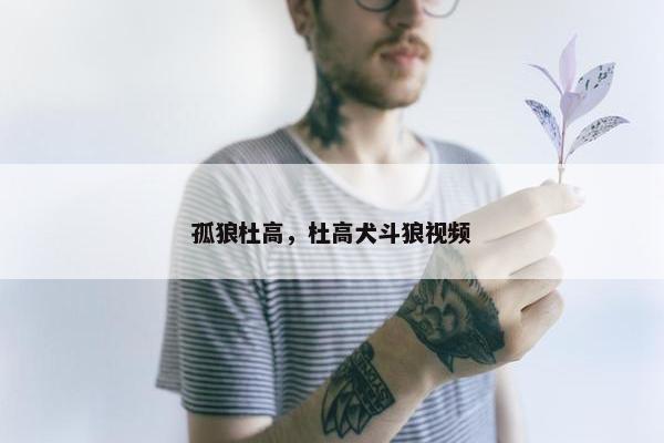 孤狼杜高，杜高犬斗狼视频