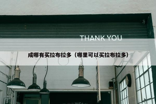 成哪有买拉布拉多（哪里可以买拉布拉多）