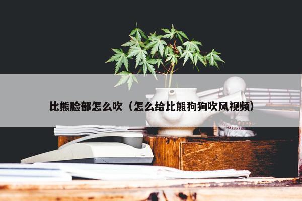比熊脸部怎么吹（怎么给比熊狗狗吹风视频）