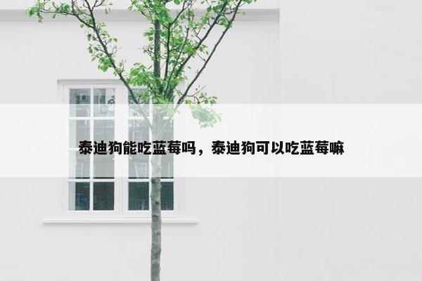 泰迪狗能吃蓝莓吗，泰迪狗可以吃蓝莓嘛