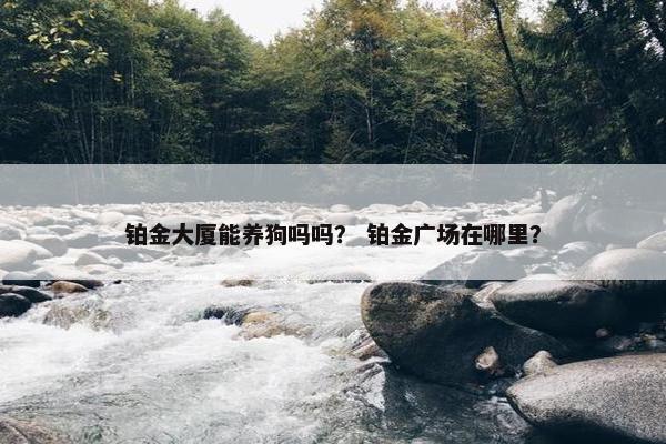 铂金大厦能养狗吗吗？ 铂金广场在哪里？