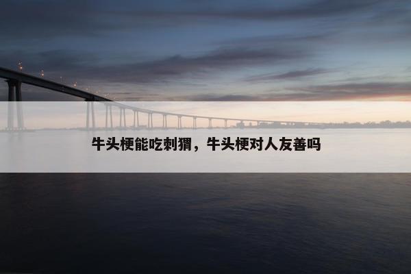 牛头梗能吃刺猬，牛头梗对人友善吗