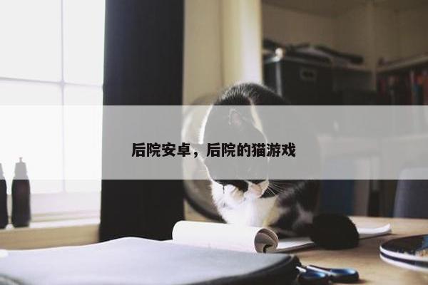 后院安卓，后院的猫游戏