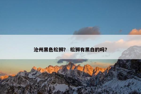沧州黑色松狮？ 松狮有黑白的吗？
