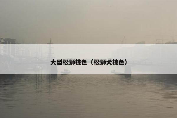 大型松狮棕色（松狮犬棕色）