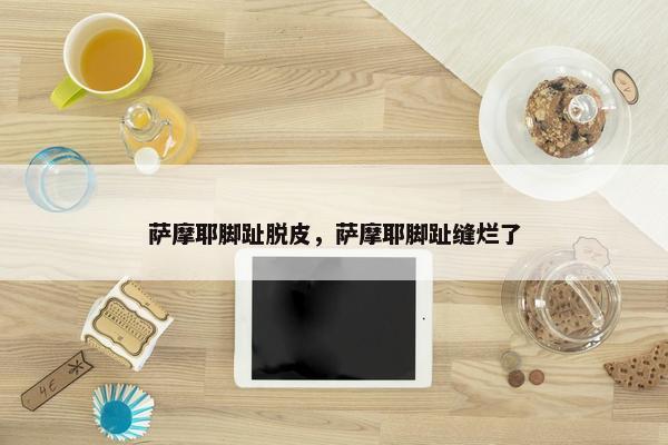 萨摩耶脚趾脱皮，萨摩耶脚趾缝烂了