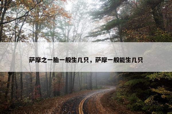 萨摩之一胎一般生几只，萨摩一般能生几只