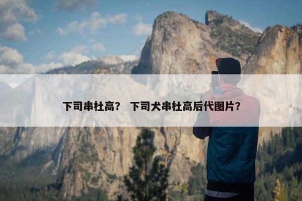 下司串杜高？ 下司犬串杜高后代图片？