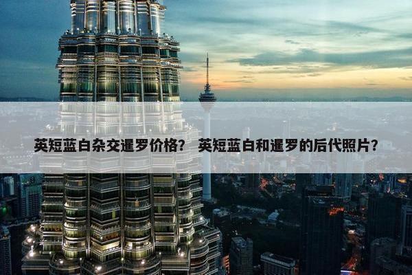英短蓝白杂交暹罗价格？ 英短蓝白和暹罗的后代照片？