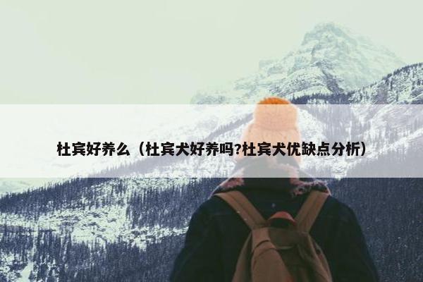 杜宾好养么（杜宾犬好养吗?杜宾犬优缺点分析）