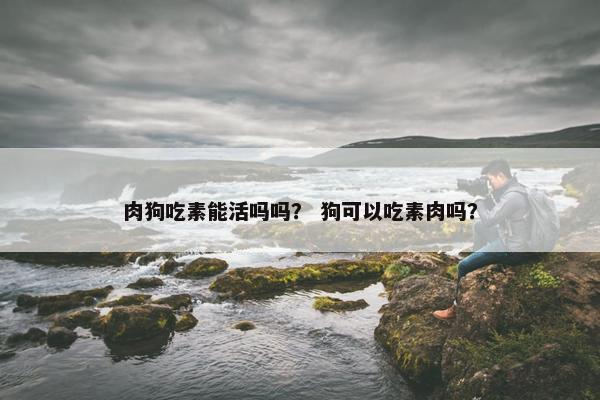 肉狗吃素能活吗吗？ 狗可以吃素肉吗？