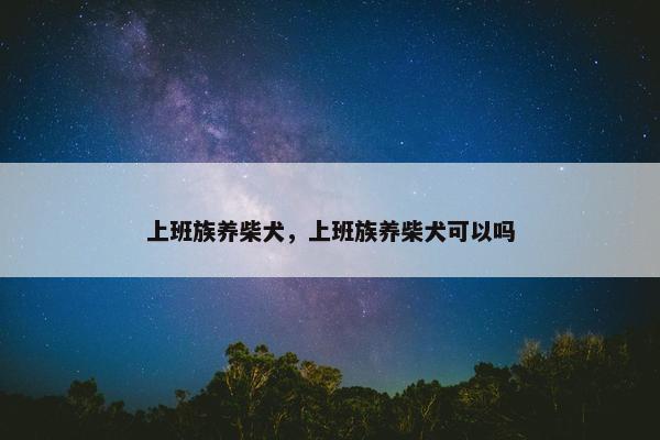 上班族养柴犬，上班族养柴犬可以吗