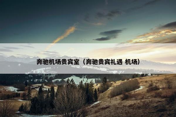 奔驰机场贵宾室（奔驰贵宾礼遇 机场）