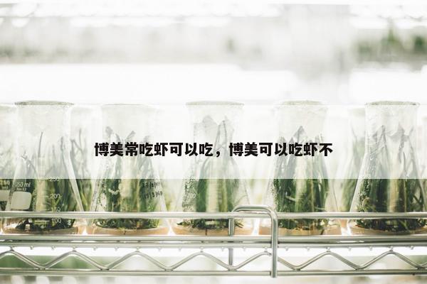 博美常吃虾可以吃，博美可以吃虾不