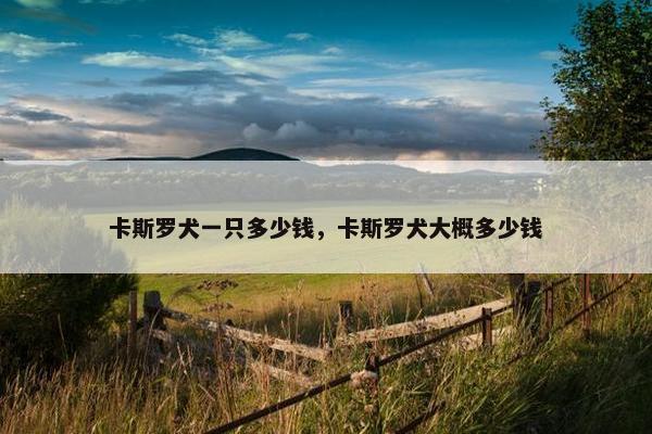 卡斯罗犬一只多少钱，卡斯罗犬大概多少钱