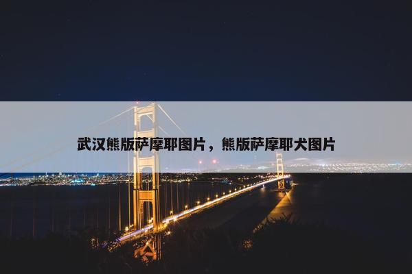 武汉熊版萨摩耶图片，熊版萨摩耶犬图片