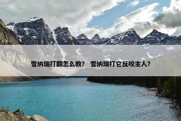 雪纳瑞打翻怎么教？ 雪纳瑞打它反咬主人？
