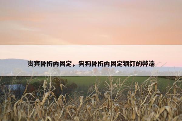 贵宾骨折内固定，狗狗骨折内固定钢钉的弊端
