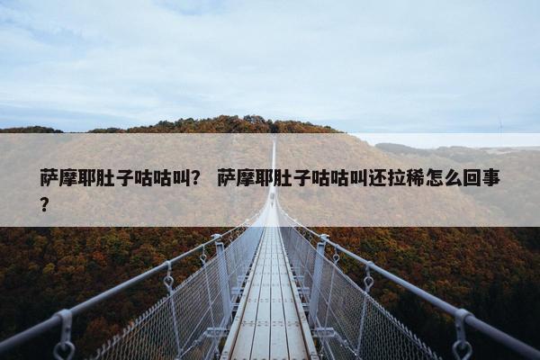 萨摩耶肚子咕咕叫？ 萨摩耶肚子咕咕叫还拉稀怎么回事？