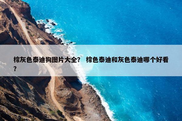 棕灰色泰迪狗图片大全？ 棕色泰迪和灰色泰迪哪个好看？