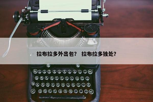 拉布拉多外出包？ 拉布拉多独处？