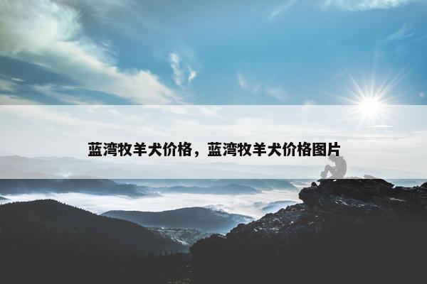 蓝湾牧羊犬价格，蓝湾牧羊犬价格图片